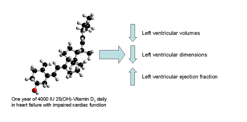 One year of 4000 IU 25(OH)-Vitamin D3daily in heart failure with impaired cardiac function