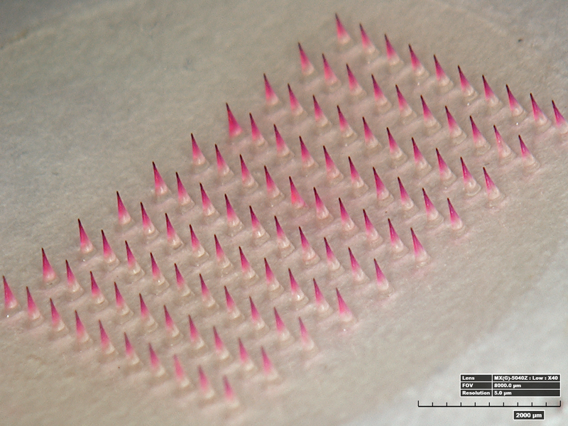 microneedle patches with influenza vaccine