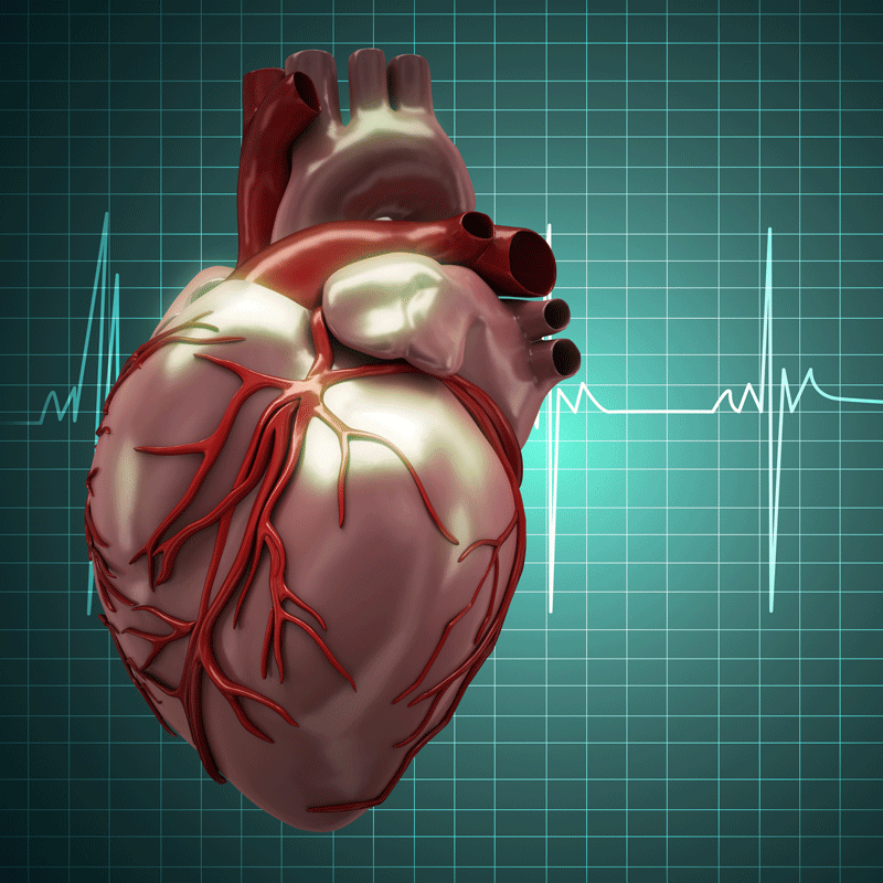 Pericytes Potential to Reverse Heart Damage