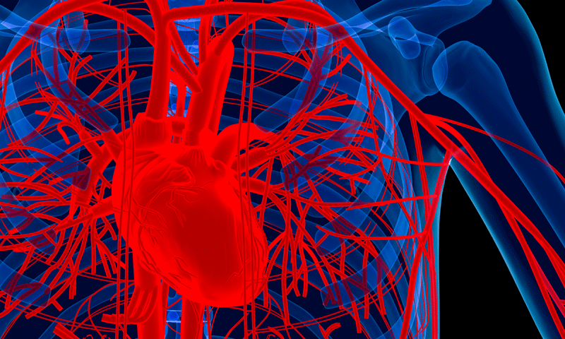 Investigational Extravascular ICD System