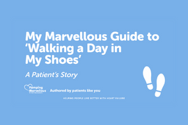 Marvellous Guide to Walking a Day in My Shoes (max order quantity = 25)