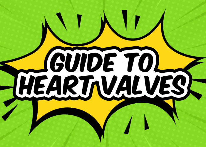 Guide to heart valves